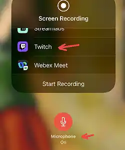 Hold the screen recording icon to make the menu appear